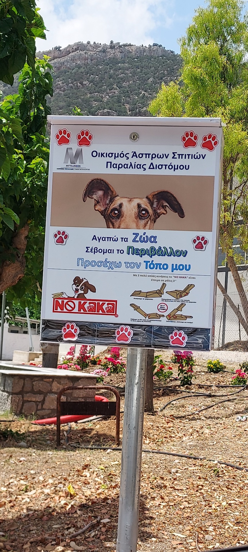 ΣΥΓΚΡΟΤΗΜΑΤΑ ΚΑΤΟΙΚΙΩΝ